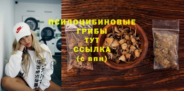 СК Алексин
