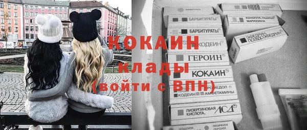 индика Алексеевка