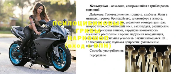 индика Алексеевка