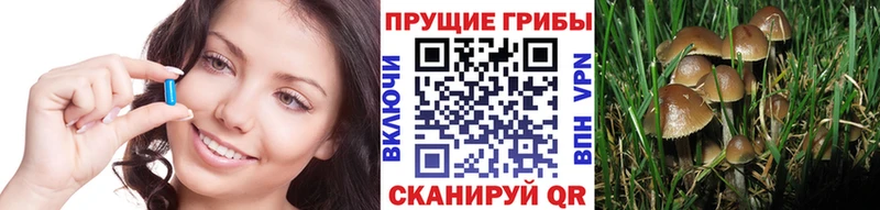 Псилоцибиновые грибы ЛСД Мамоново
